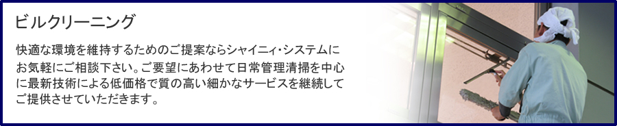 �r���N���[�j���O